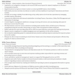 consulting resume editing service, consulting resume