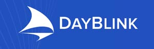 dayblink consulting