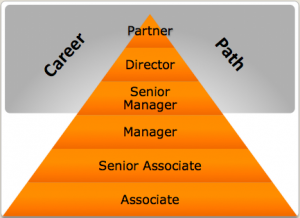PWC Career Path